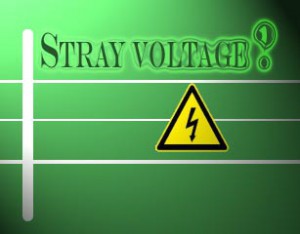 stray-voltage-graphic-300x234_zps6bfujncf.jpg