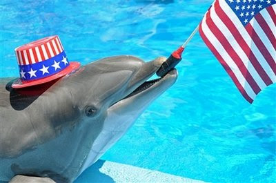 dolphin+july_fourth_AP.jpg