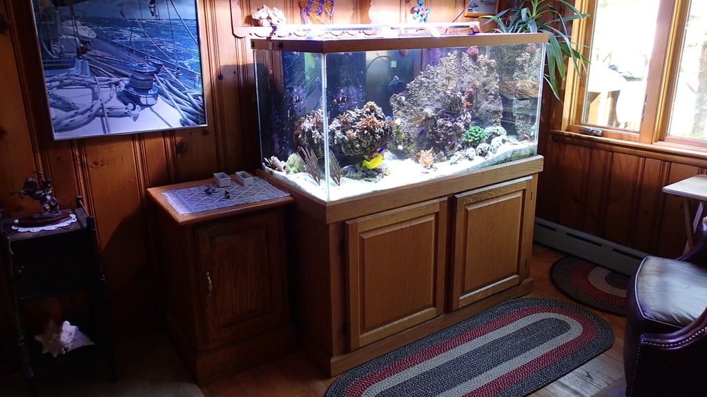 290.00 120 gallon tank & stand REEF2REEF Saltwater and