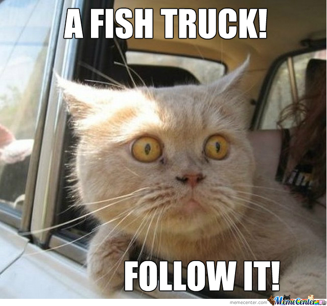 a-fish-truck_o_365839.jpg