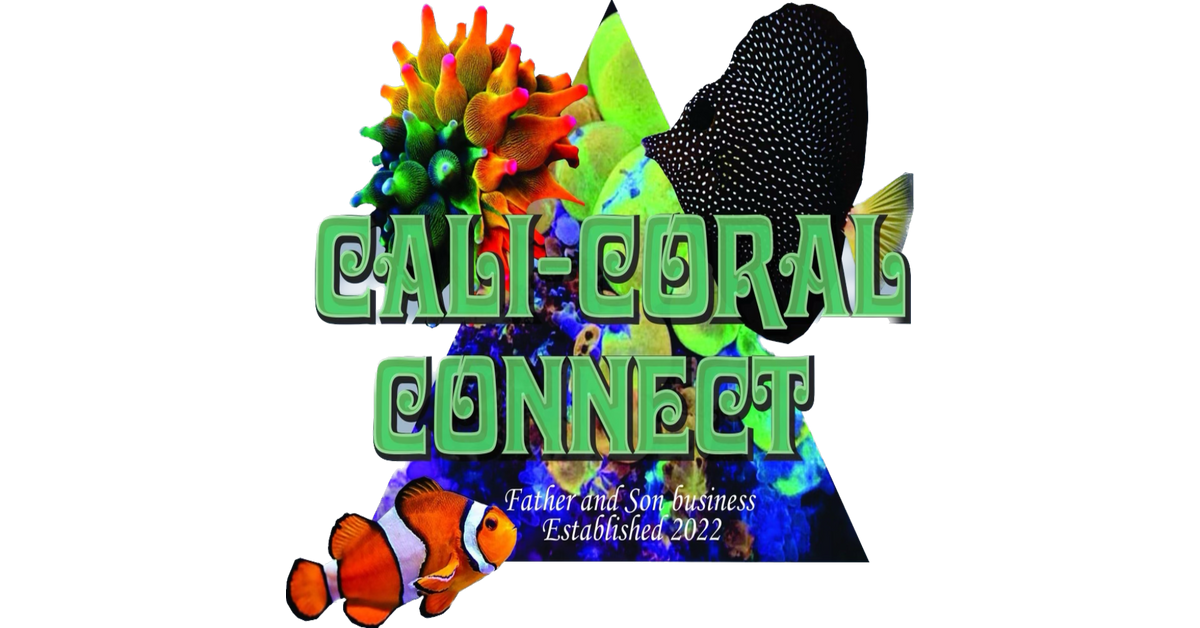 www.calicoralconnect.com