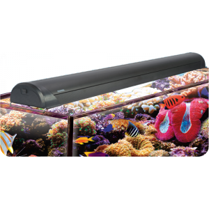 A3961_Fluval-T5-HO-Double-Linear-Fluorescent-Lighting-91cm_NA_4w300-h300.png