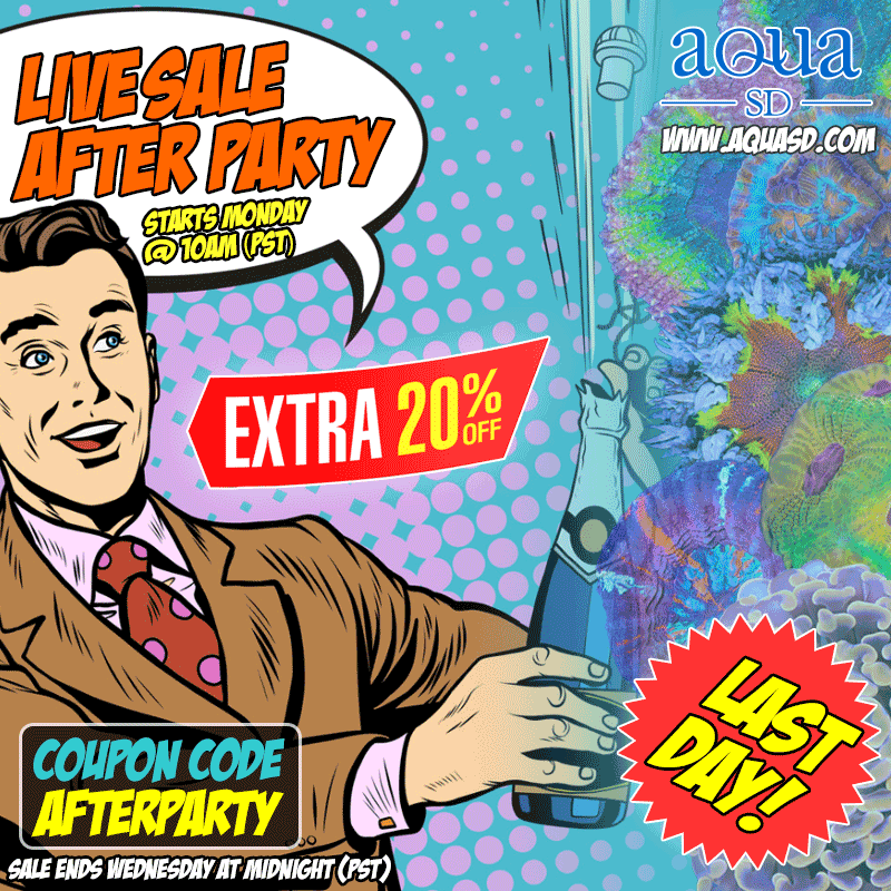 LiveSaleAfterParty-last-day.gif