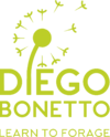 www.diegobonetto.com