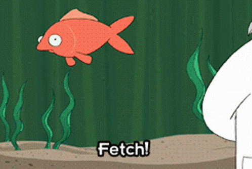 Futurama Fetch GIF - Futurama Fetch Fish - Discover & Share GIFs