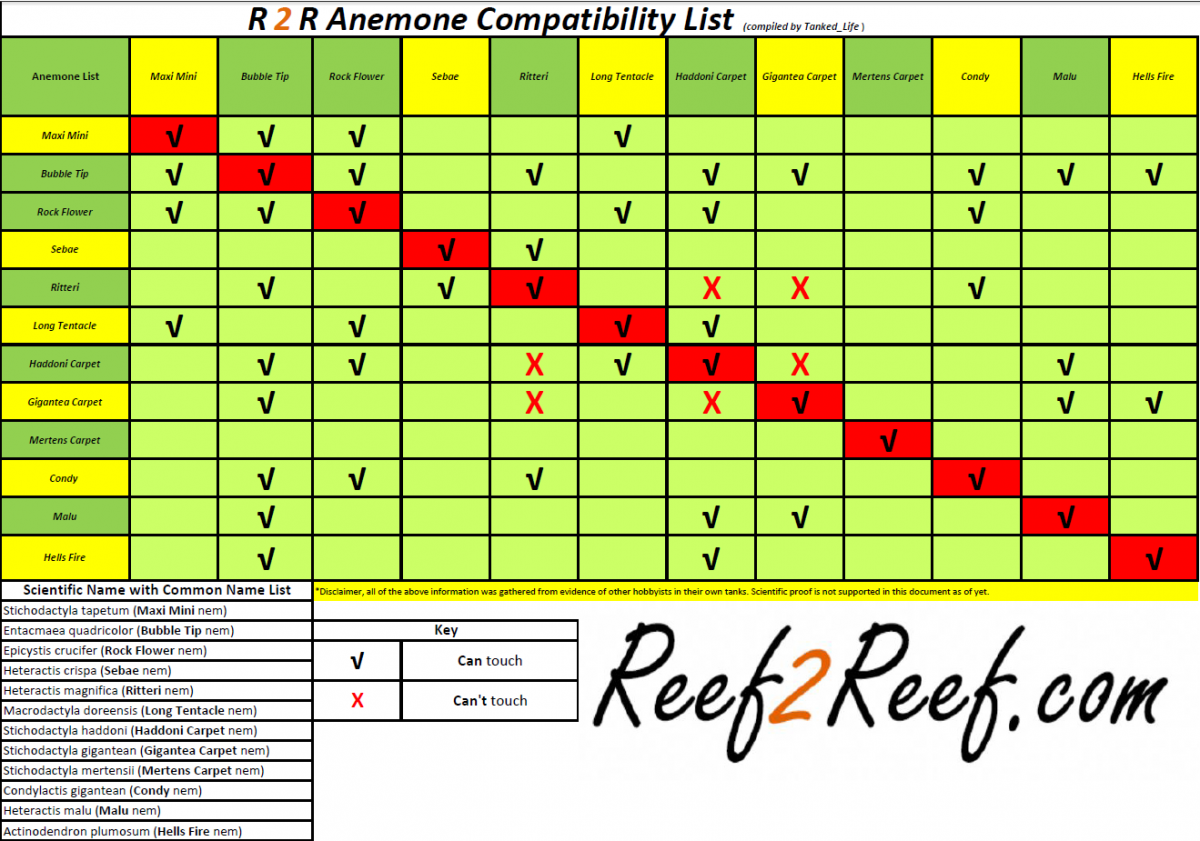 AnemoneCompatibilityList7-18-16.PNG