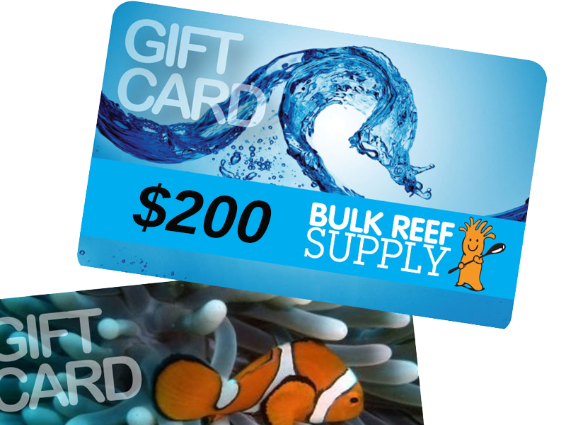 reef breeders giveaway.jpg