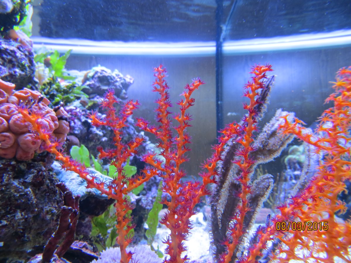 0010_IMG_8801.JPG