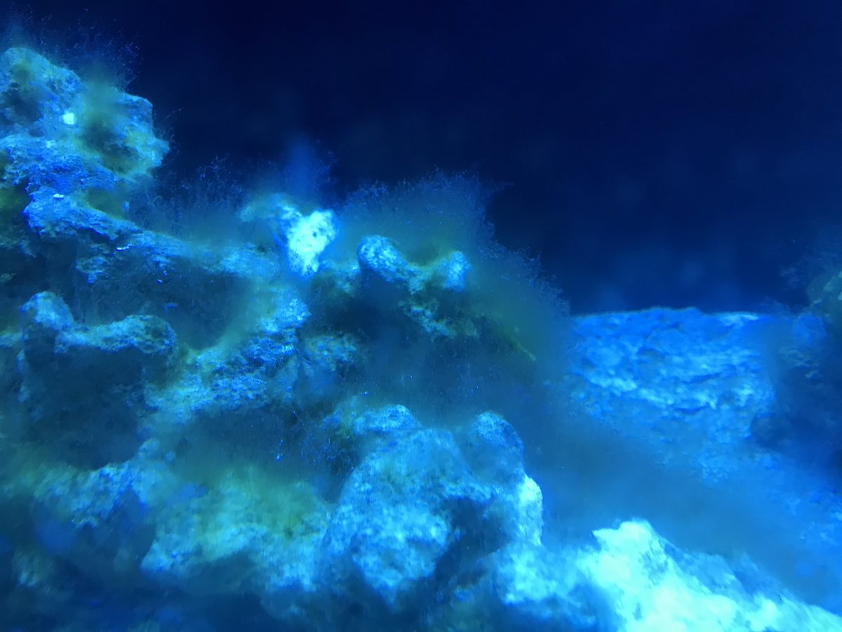 007473AF-C989-4E2B-AC9D-50A7B6636598.jpeg