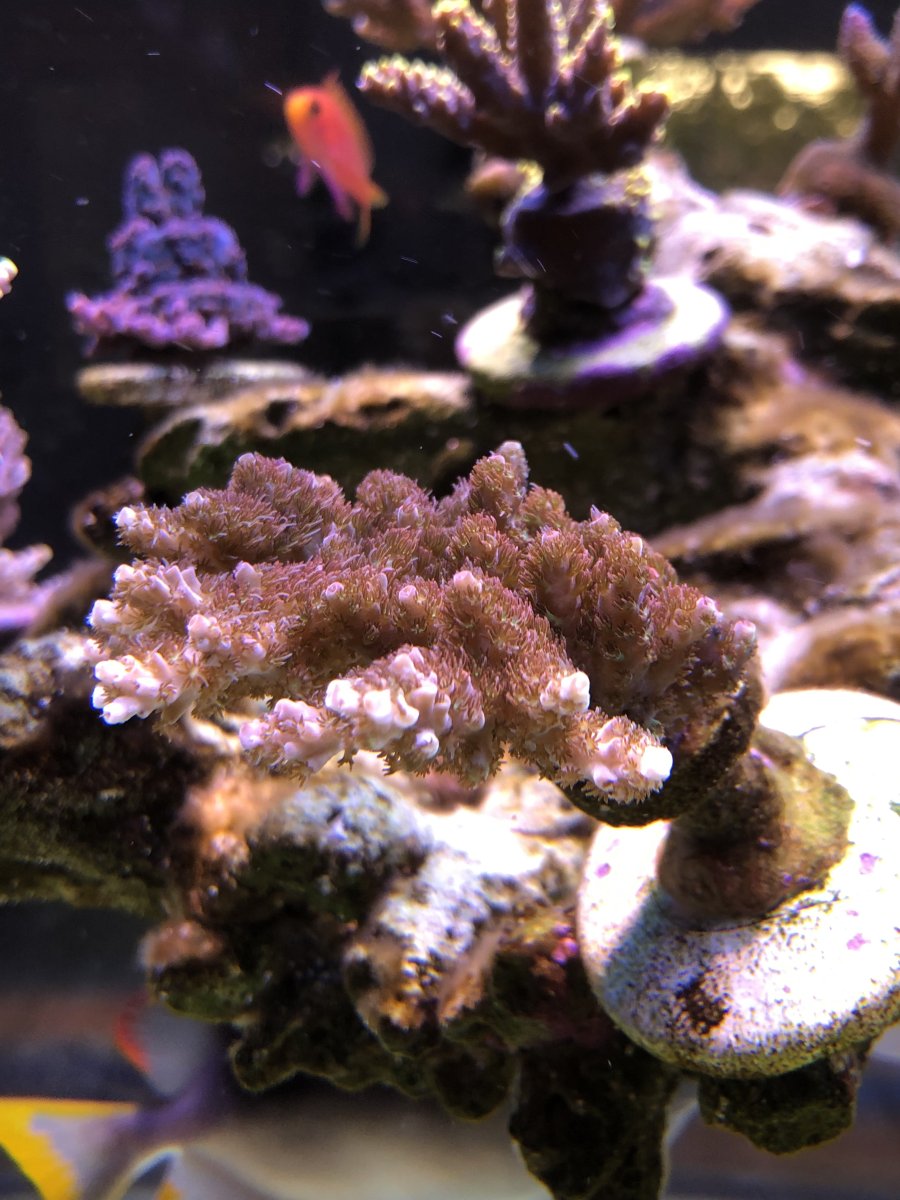 0097F02D-D900-4E63-9155-A279AA9E050E.jpeg