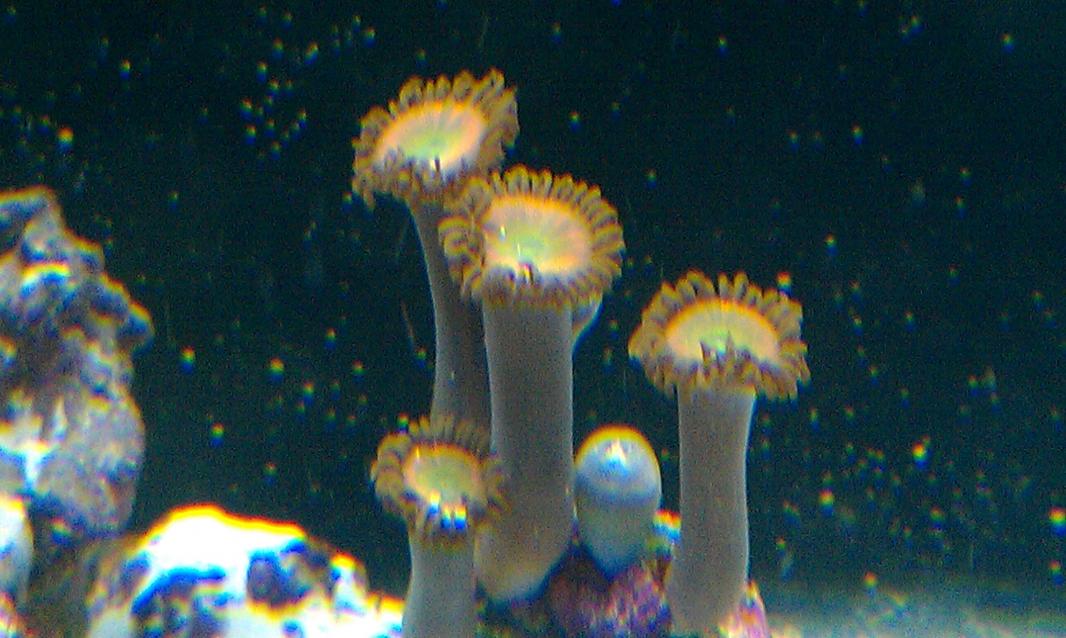 010.jpg