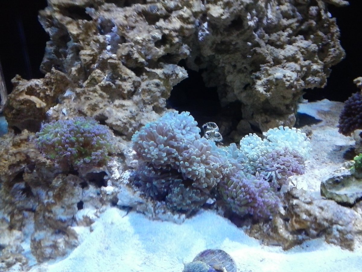 0102181708e.jpg