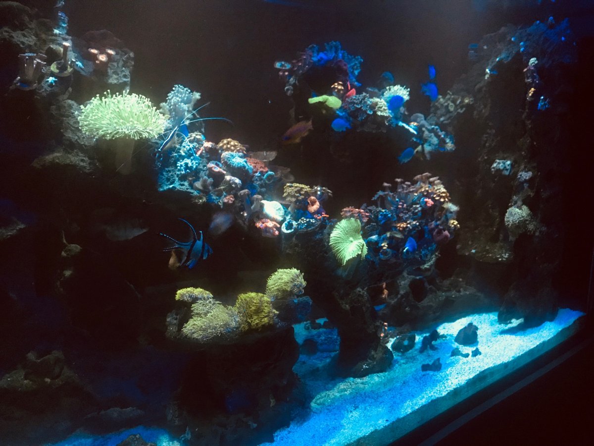 010819B.jpg
