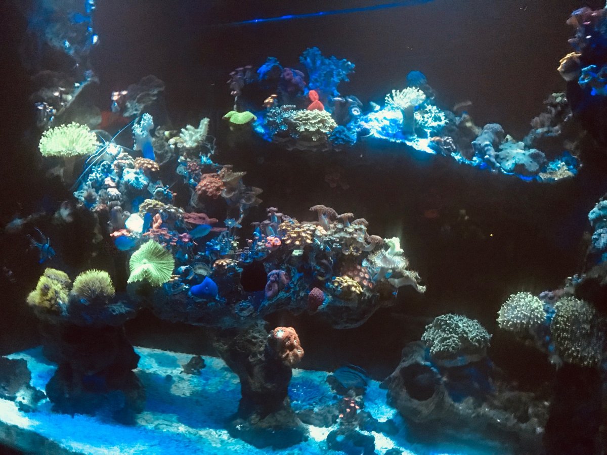 010819C.jpg