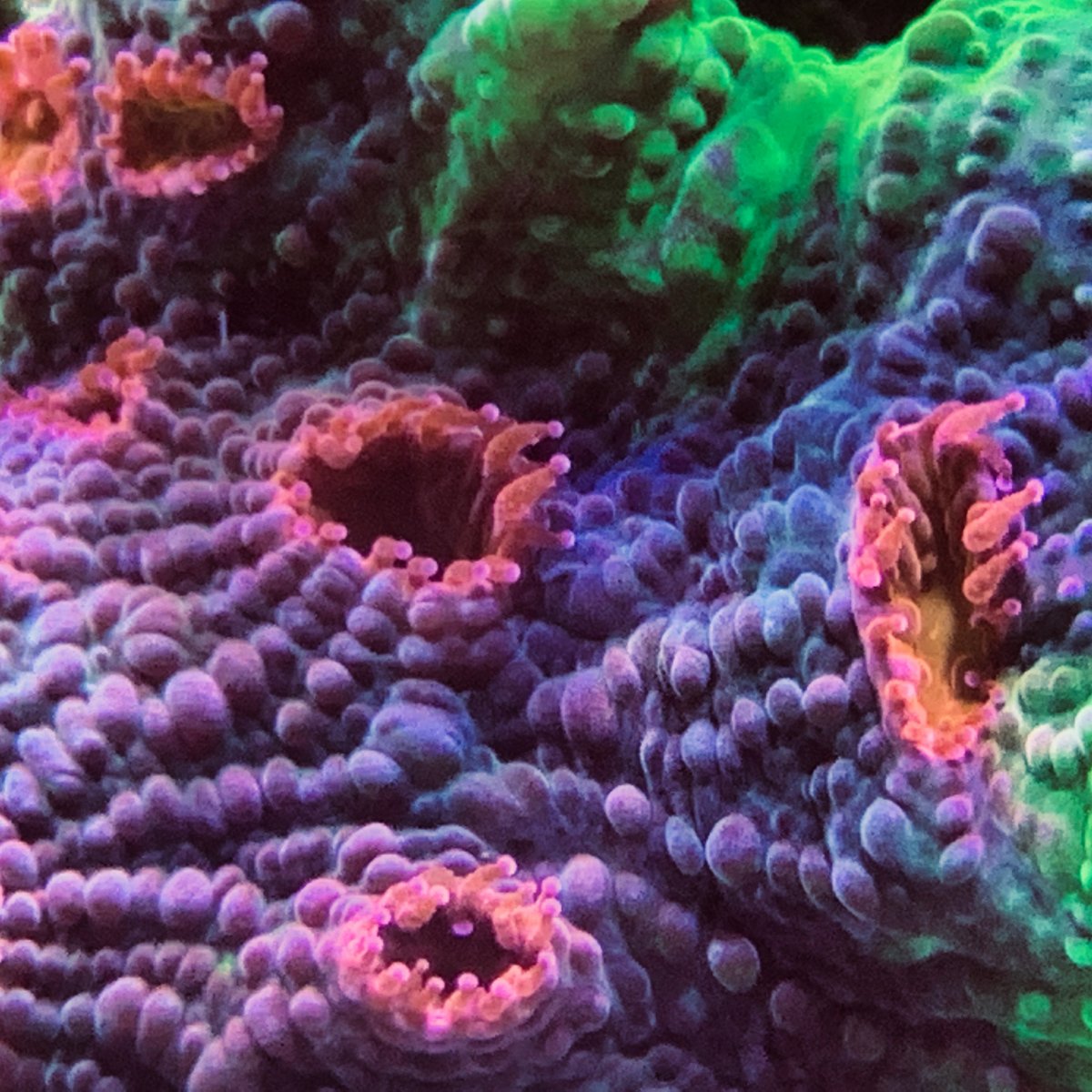 01F20A07-E572-4DED-899E-C1E2DF15E93A.jpeg