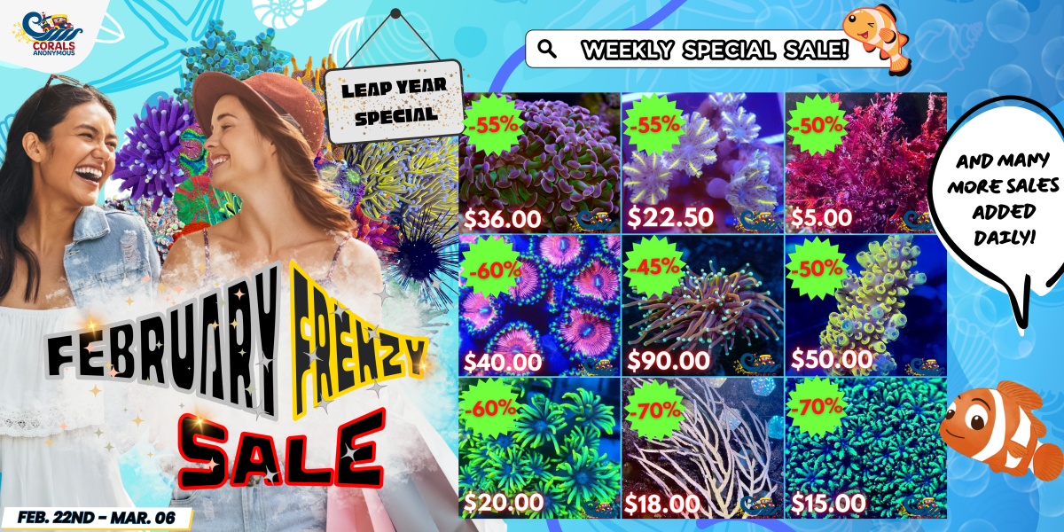 02.22.2024 February Frenzy Sale Website Banner.png