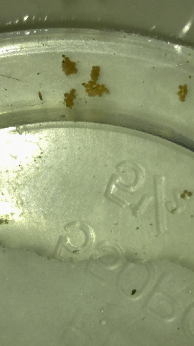 0208181823.jpg