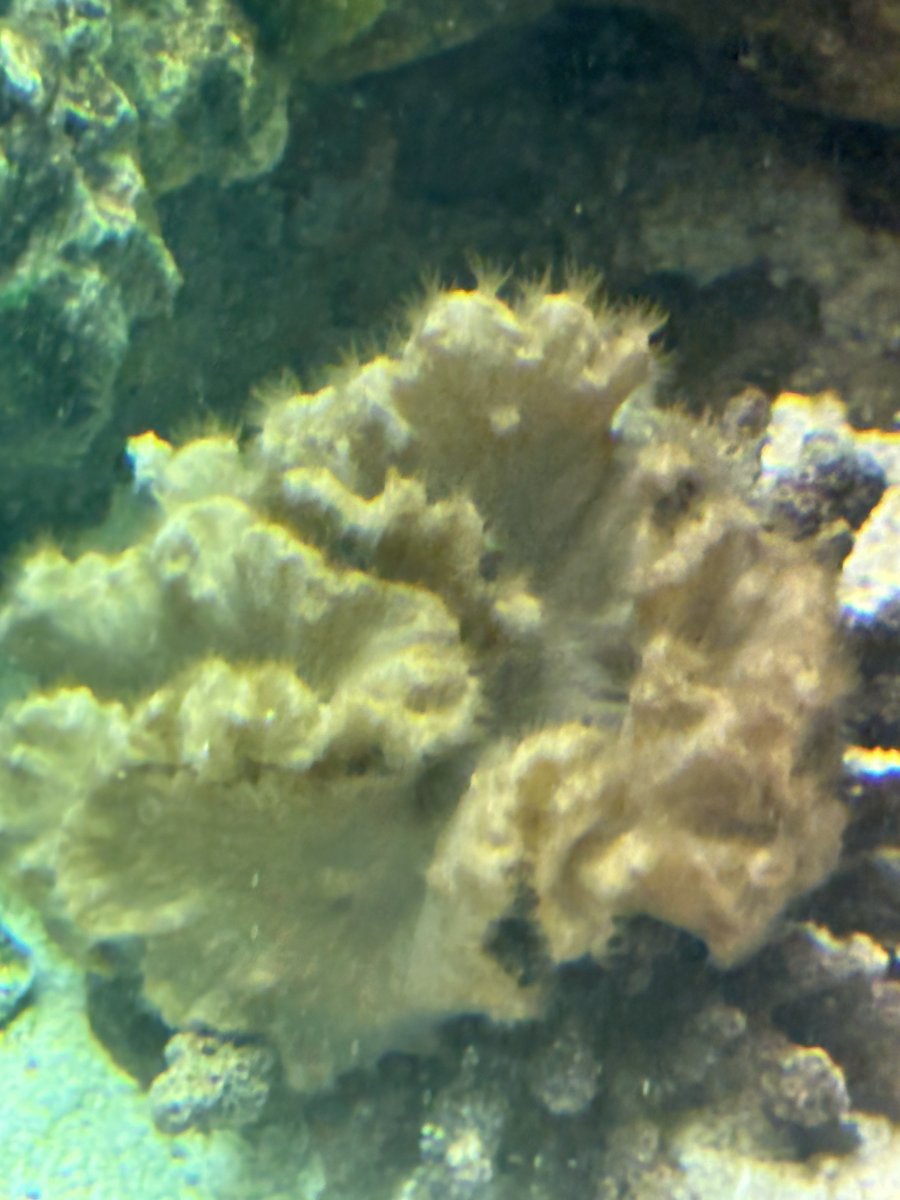 0219D3AE-FD30-484E-A0CE-9C1556CEC5FF.jpeg