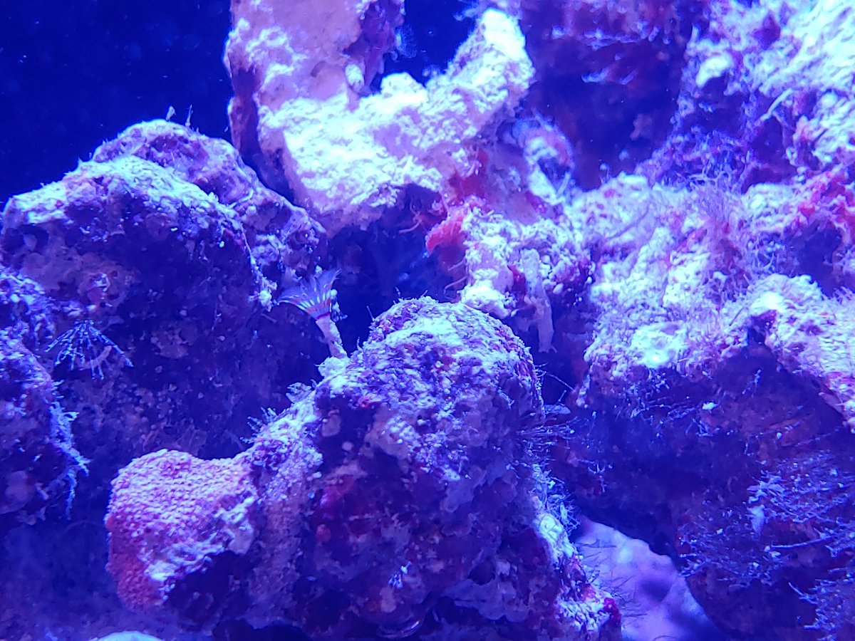 0223211801.jpg