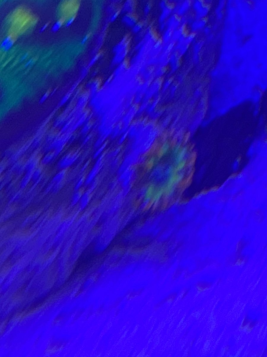 025222EA-85E2-4567-8CAA-C1CC8C5BE49F.jpeg