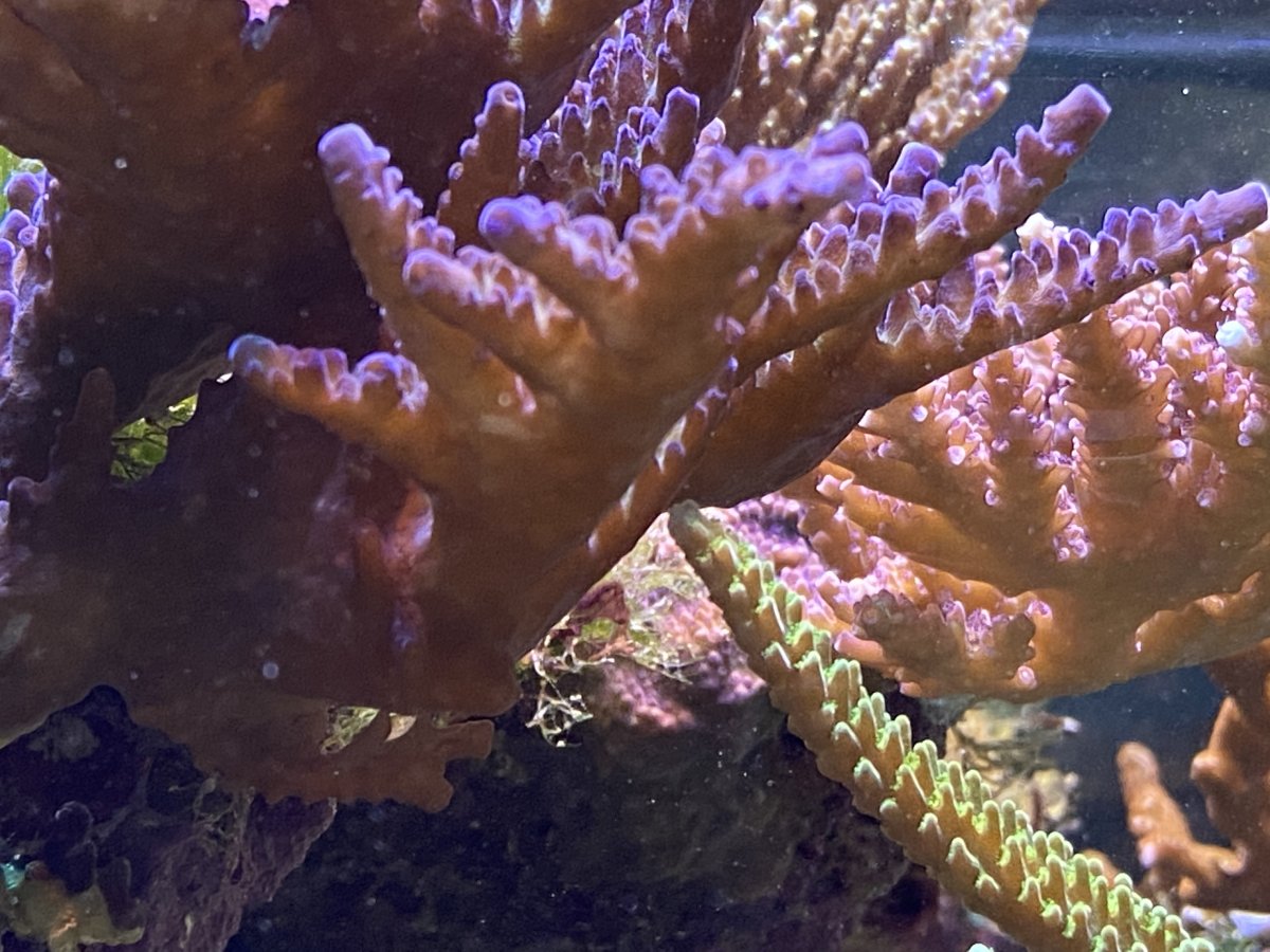0260AD84-B8A1-489E-8BCD-02B0097042A1.jpeg