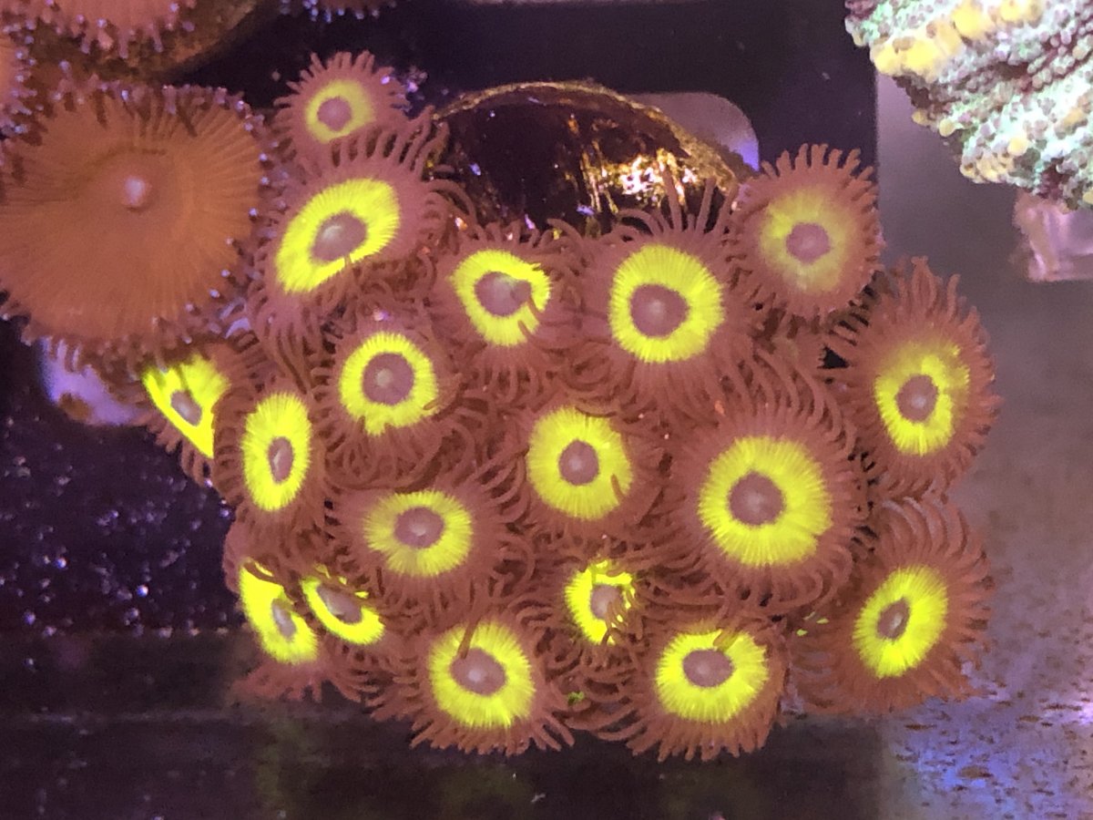 026DAFB9-7017-468E-BA91-B1568564FDC5.jpeg