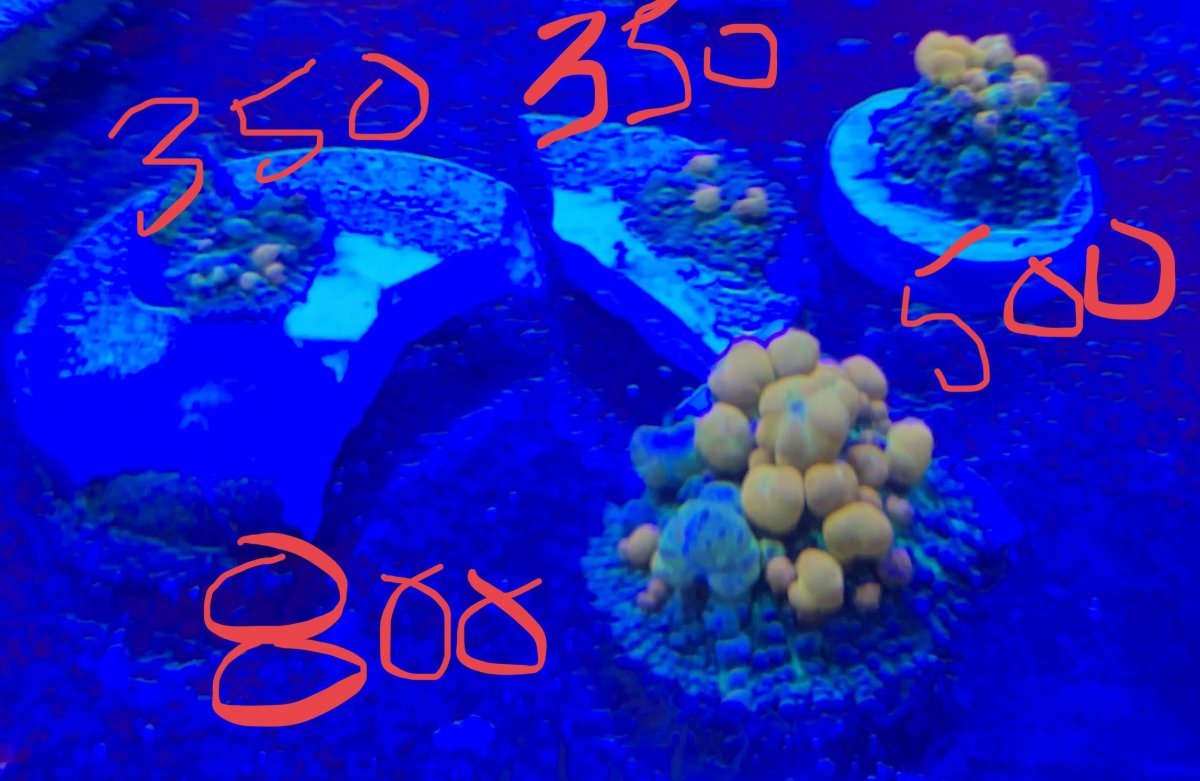 02E5F1CC-54CF-489B-84D8-D7E9575AFE39.jpeg