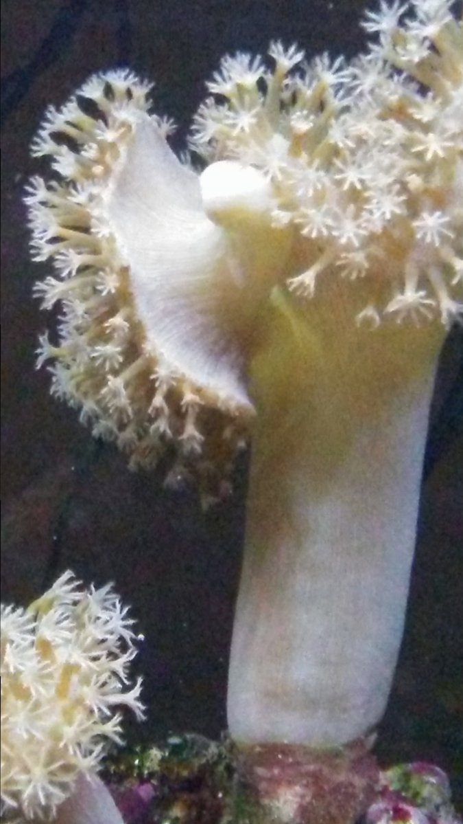 0301171920a.jpg