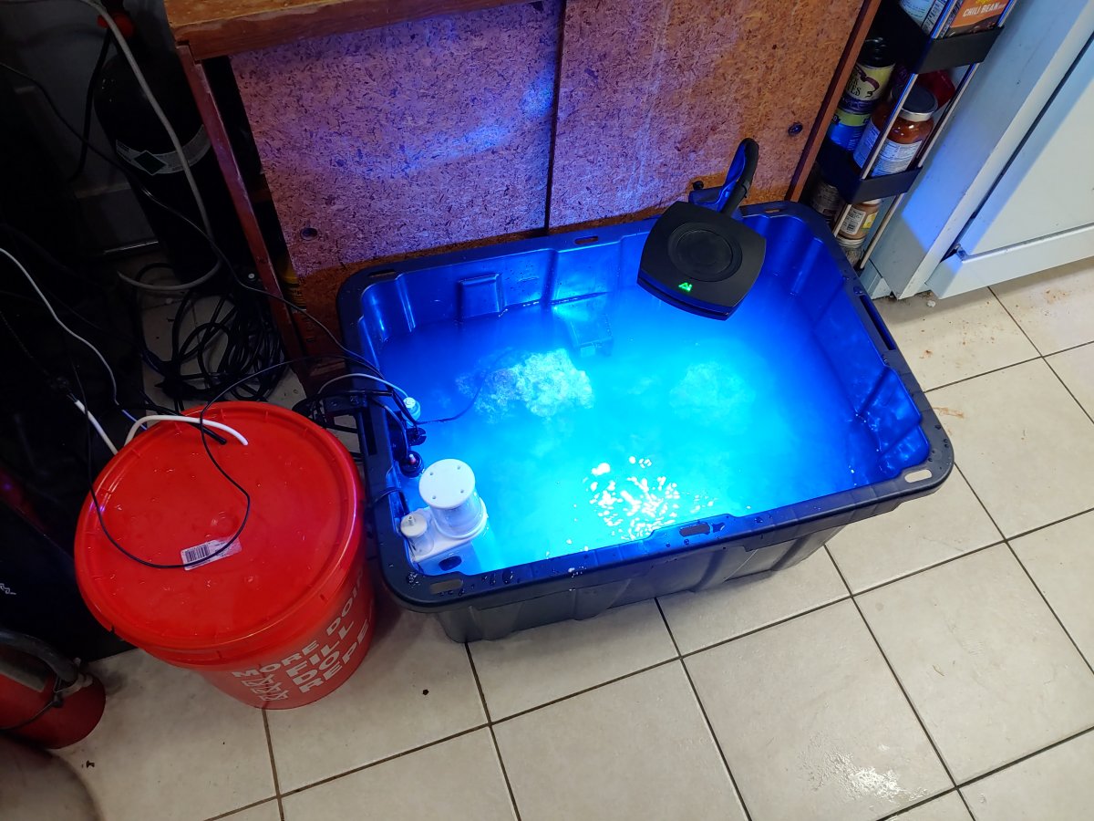 0307211703_HDR.jpg