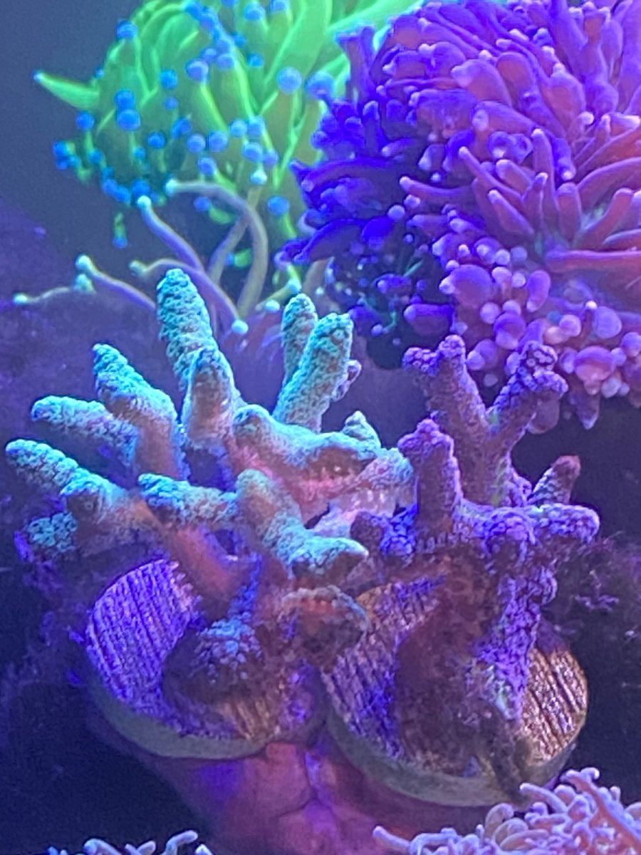 0311408D-855A-4822-A75B-E98460B2FA78.jpeg