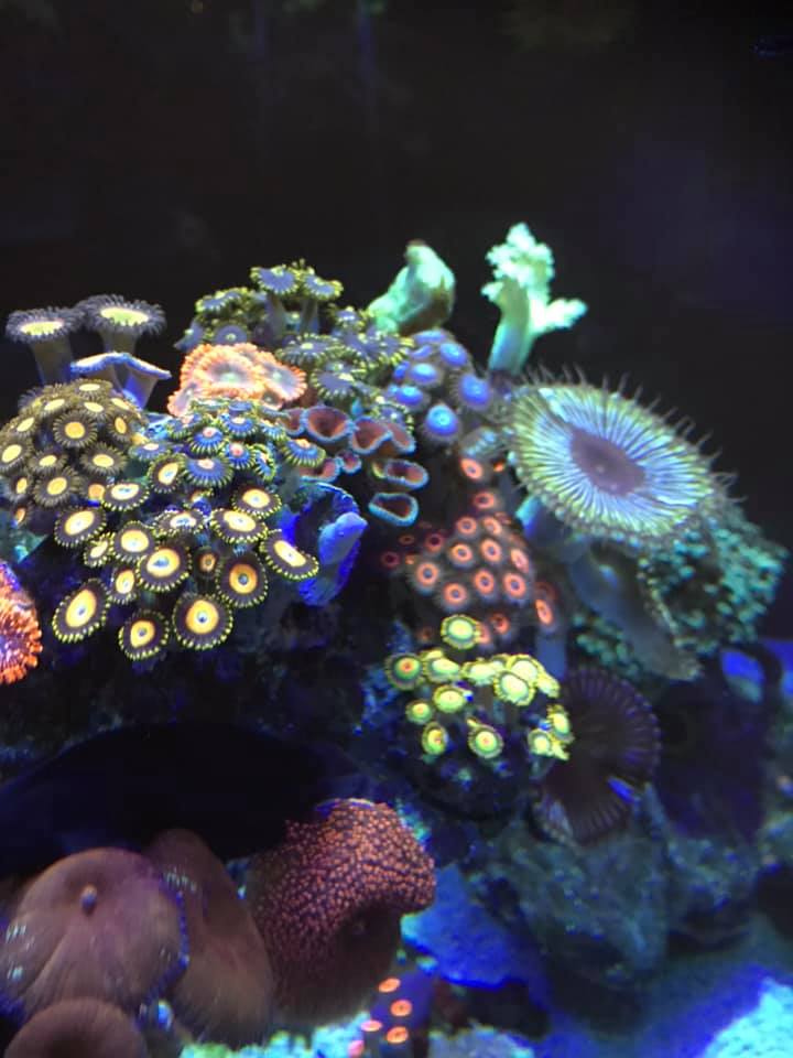 031319C.jpg