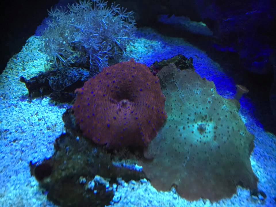 031319F.jpg