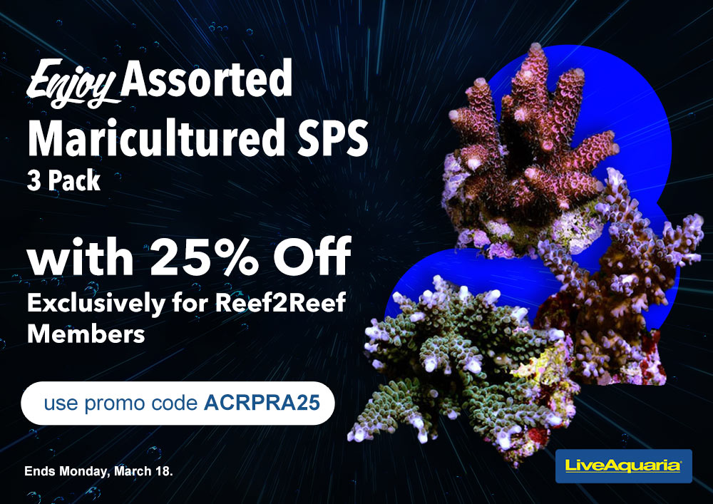 031424_SOCIAL_Exclusive-Acropora-Corals-on-R2R.jpg