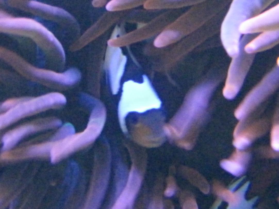 032.jpg