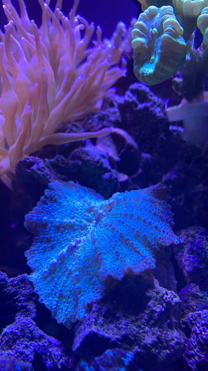 03C122D0-E064-4769-834D-8DE331B5773C.jpeg