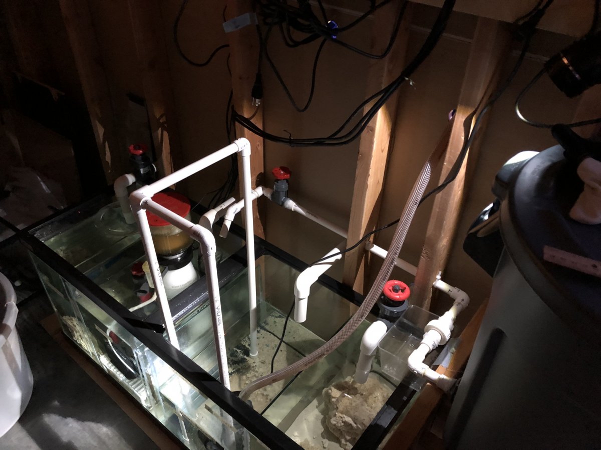 04 - Prototype Install.JPEG