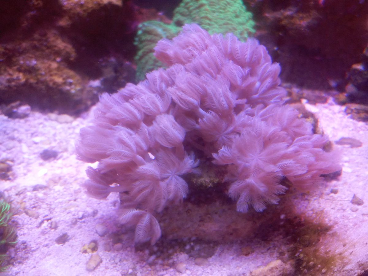 0401171348.jpg