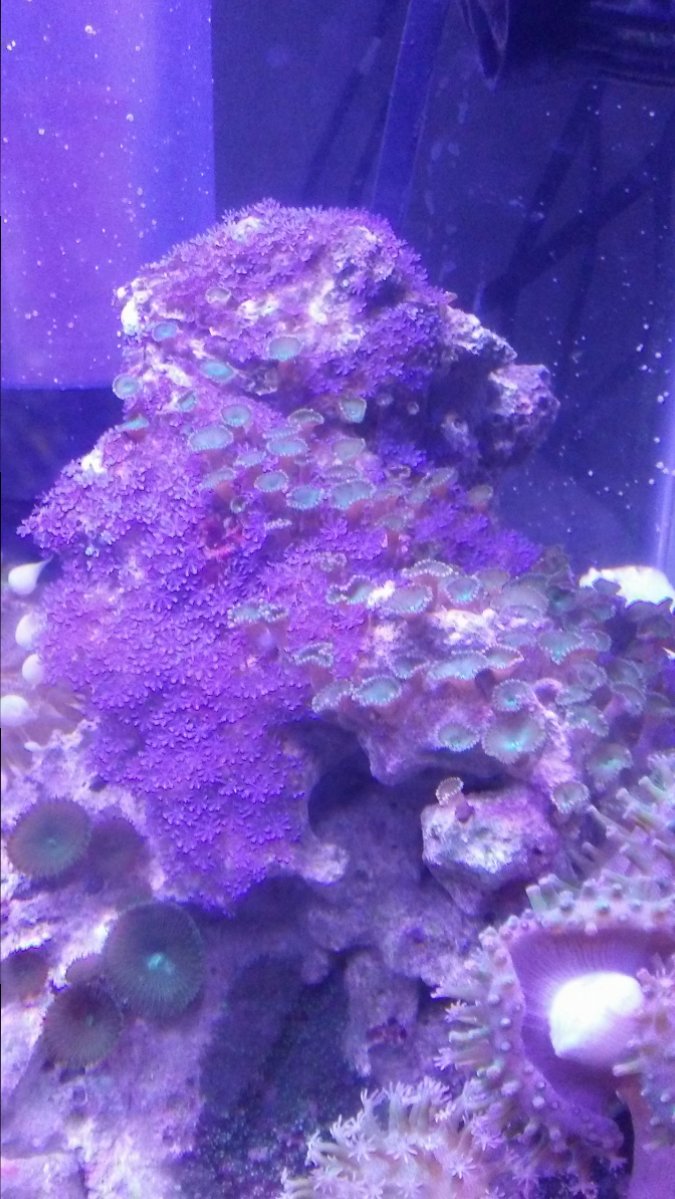 0402170950.jpg