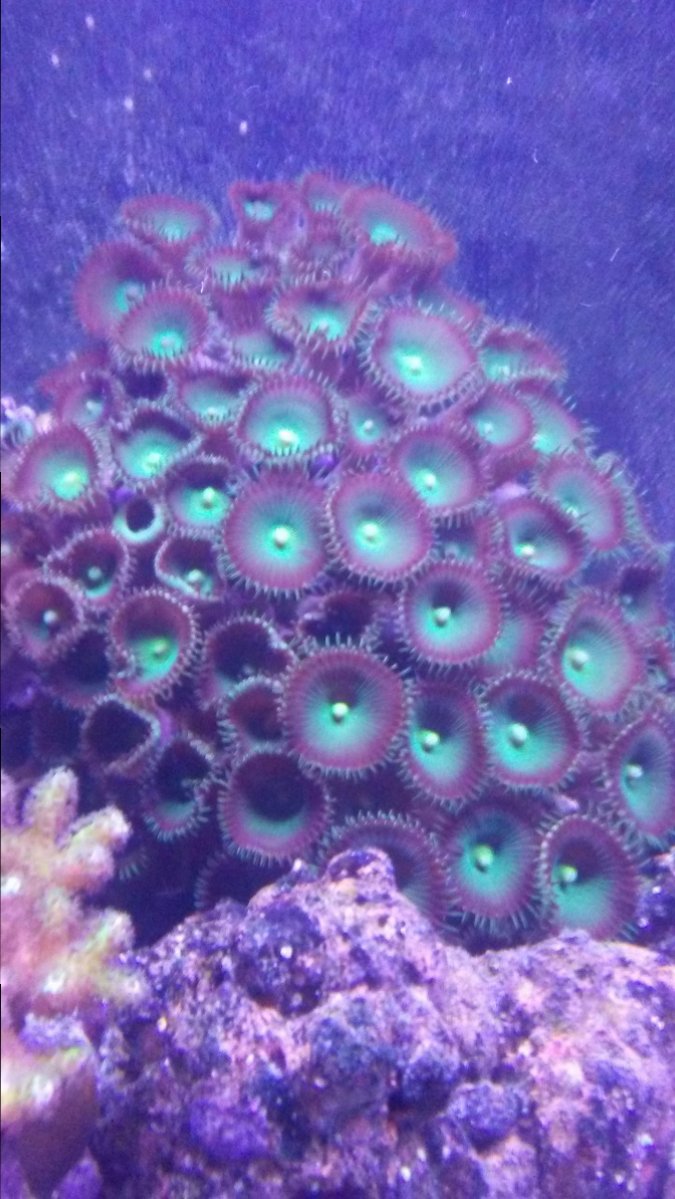 0402170950a.jpg