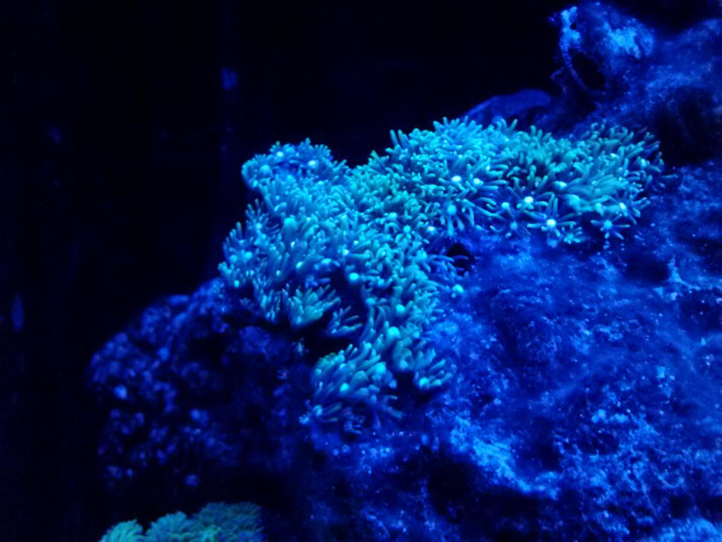 0407132129e.jpg