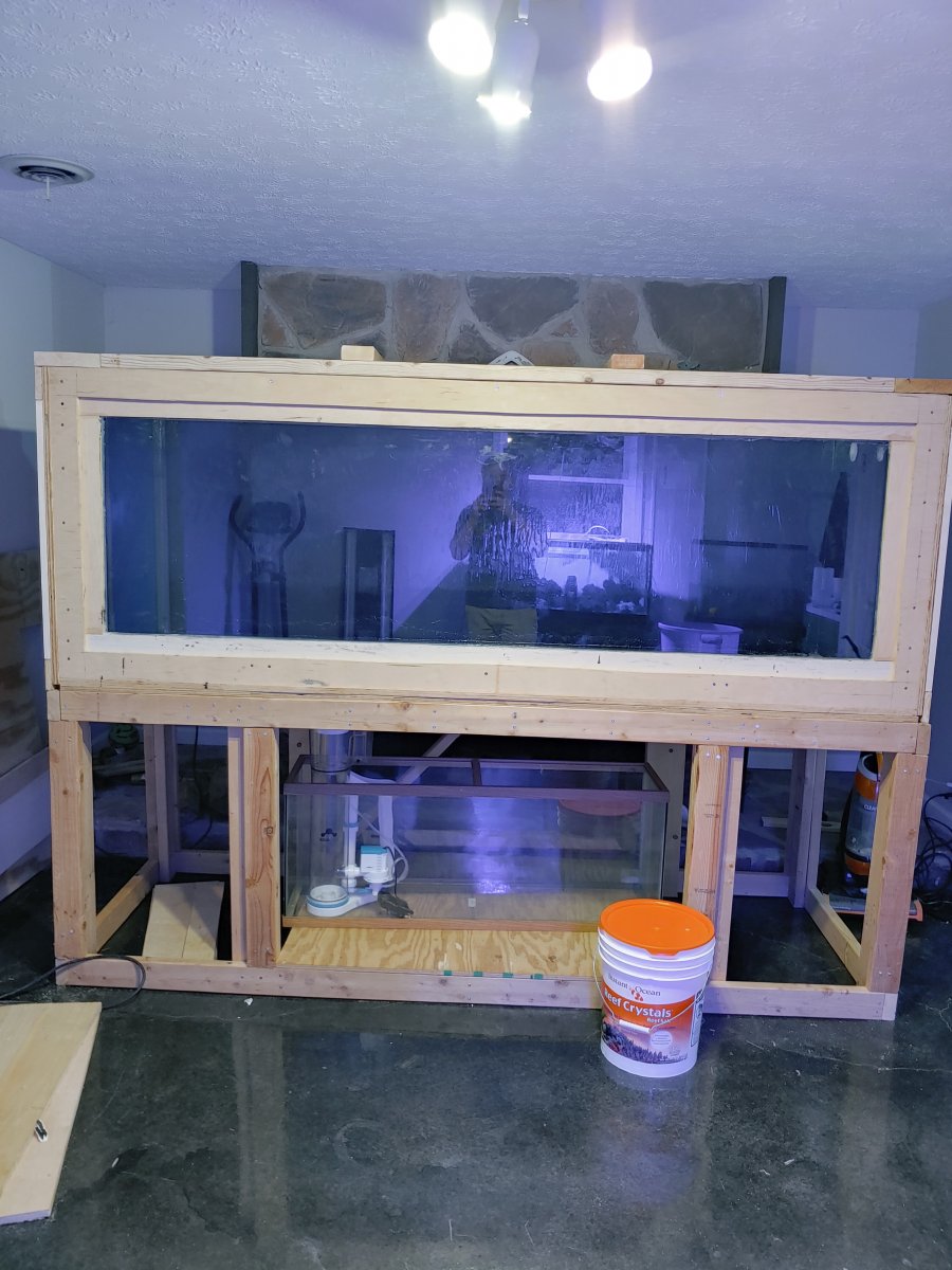 500 Gallon Plywood build the Dutchman Reef2Reef