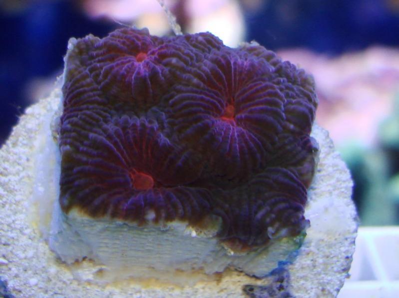 042.jpg