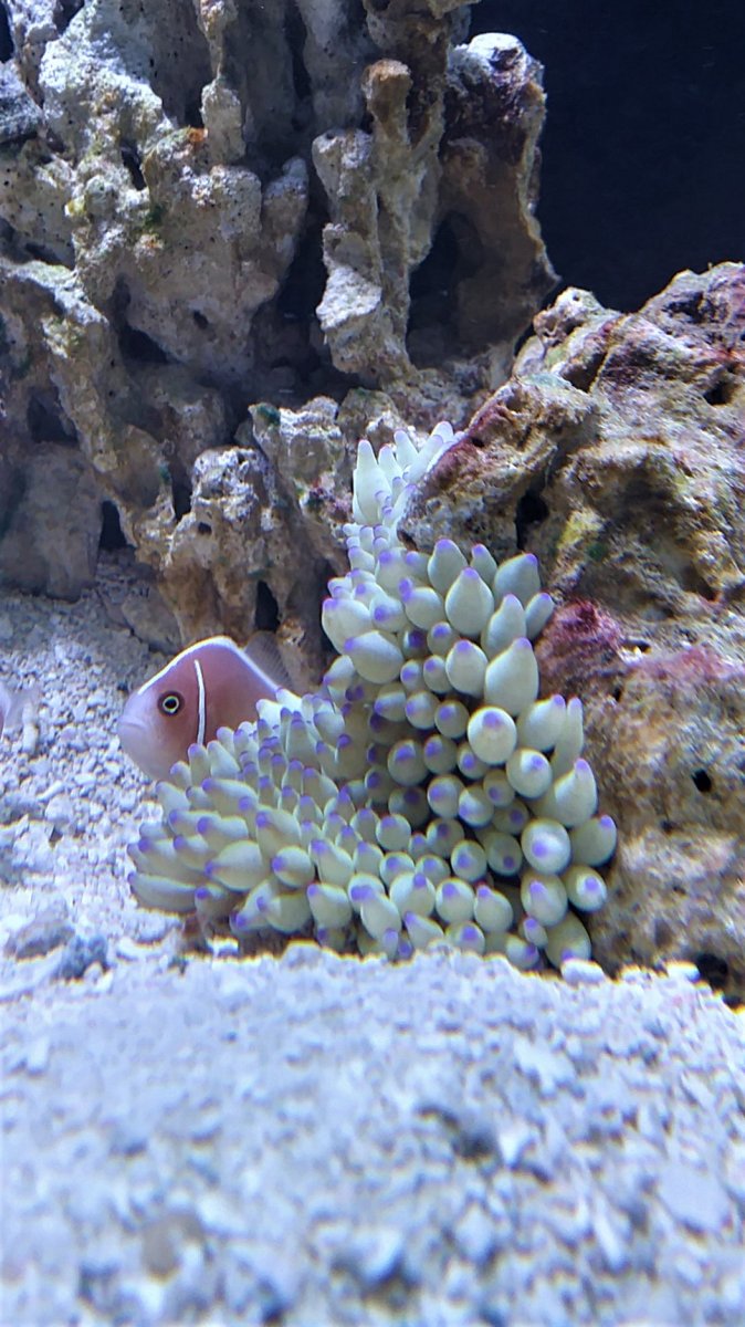 0420180554_HDR.jpg