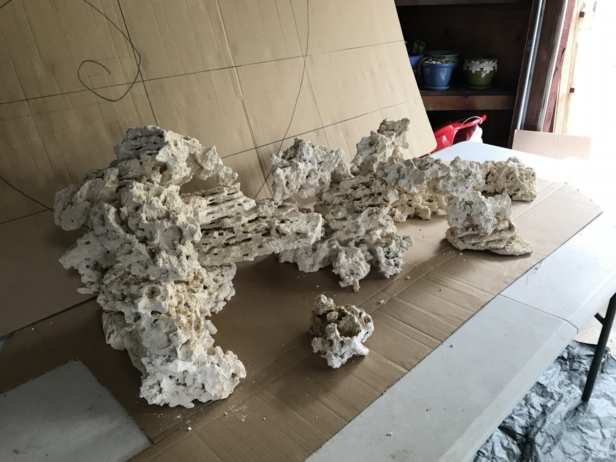044C1A83-547E-4C4E-8D6C-E72B727AE724.jpeg