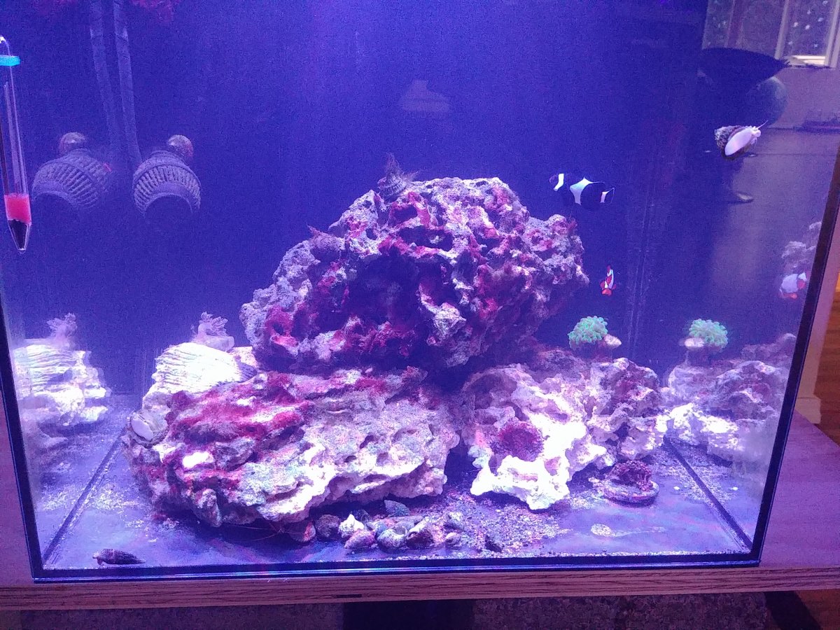 0503201025.jpg