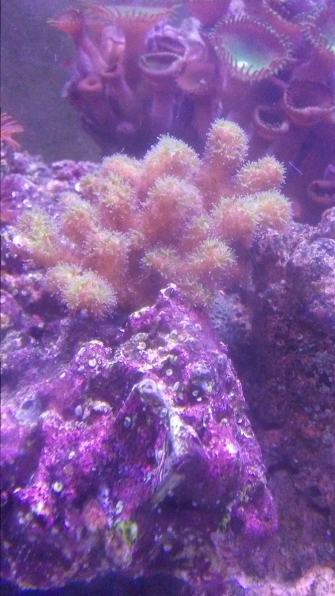 0513171018a.jpg