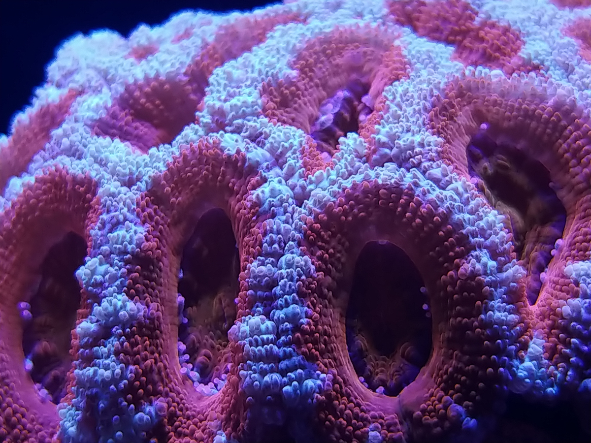 0521181924.jpg