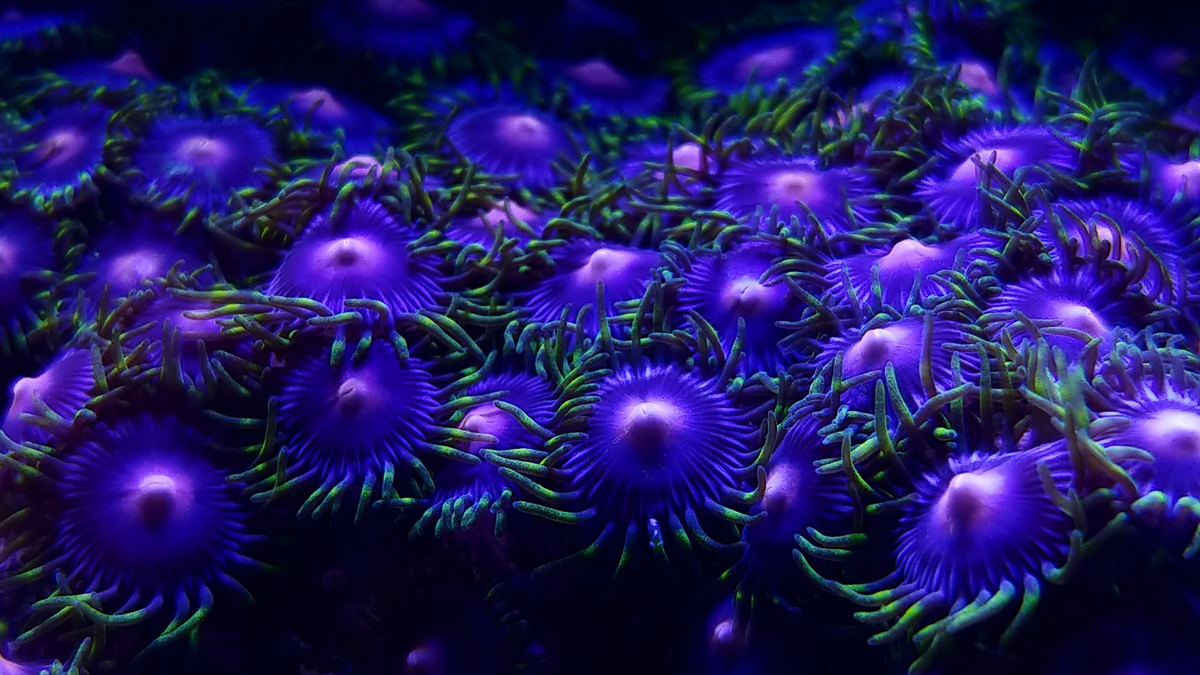 0522181808b.jpg