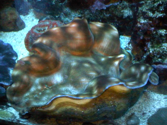 0526121951a.jpg