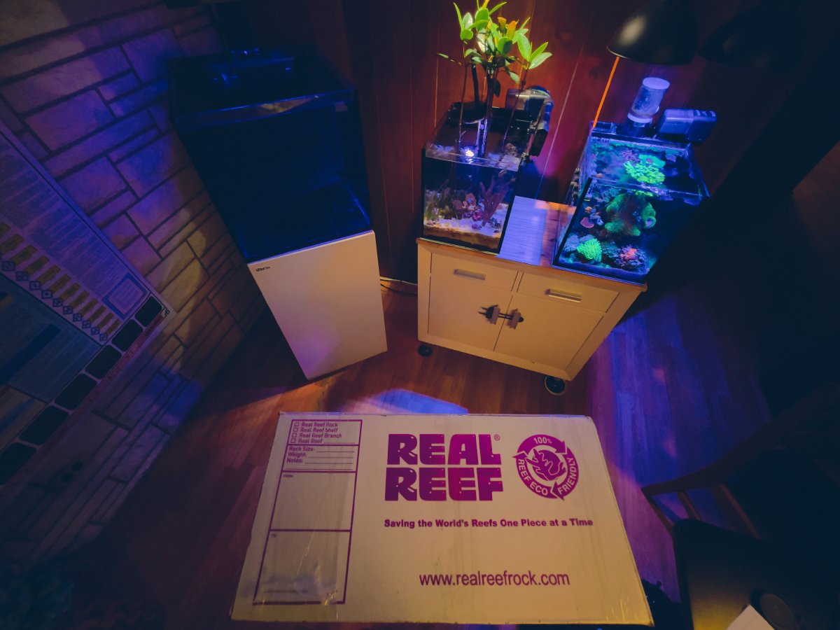 0567D0F0-7487-401F-B103-F833B02D4044.jpeg